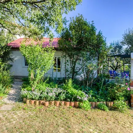 Cuffic Apartment *