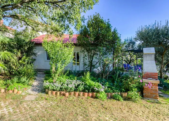 Cuffic Apartamento *