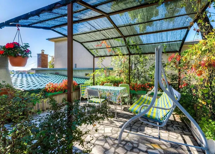 Cuffic * 노비비노돌스키